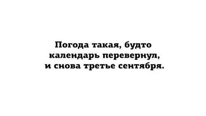 Смешные комментарии и высказывания из социальных сетей