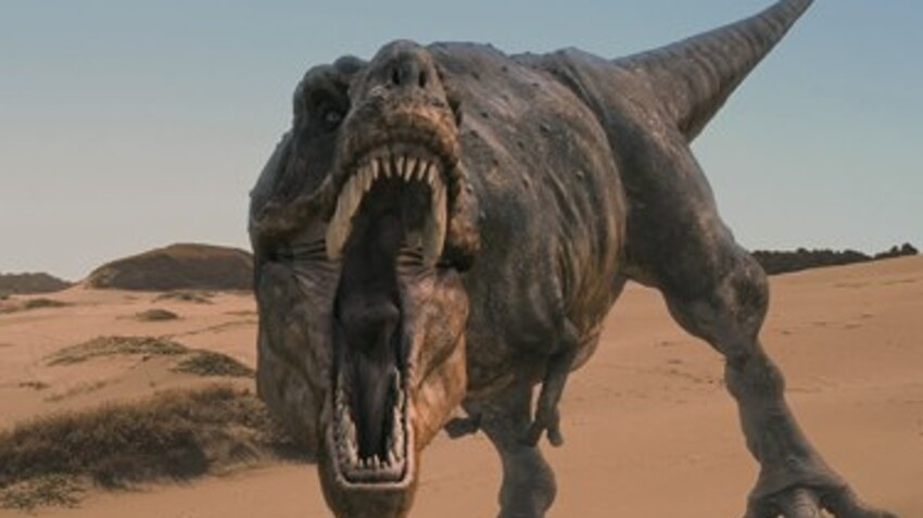 Динозавры. Интересные факты о динозаврах 