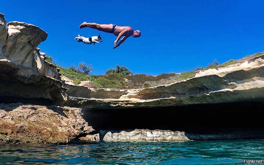 Житель Мальты Кармело Абела и его джек-рассел-терьер в синхронном прыжке на 1...