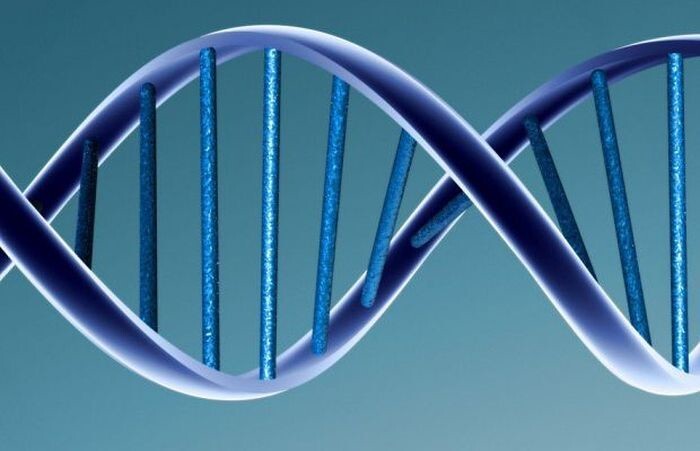 5. Отсутствие ДНК.