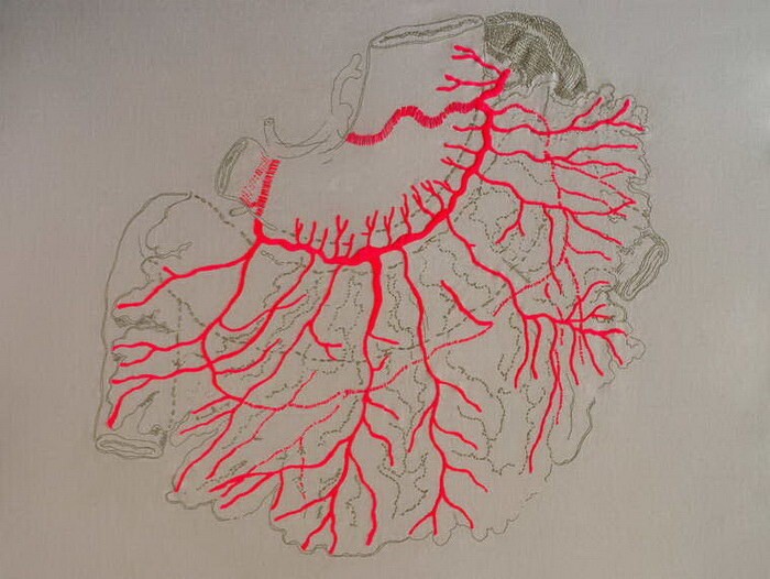 Биологическая : чилийская художница размещает на черно-белых снимках человека органы и вены