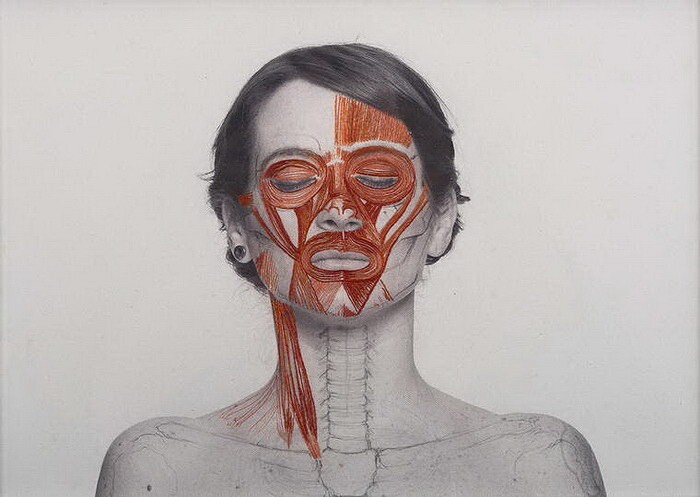 Биологическая : чилийская художница размещает на черно-белых снимках человека органы и вены