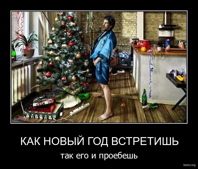 Демотиваторы новогодние