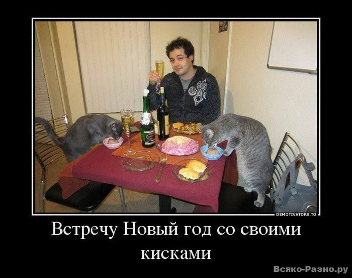 Демотиваторы новогодние