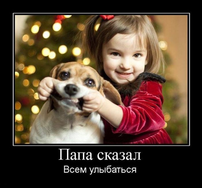 Демотиваторы новогодние