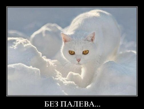 Демотиваторы новогодние