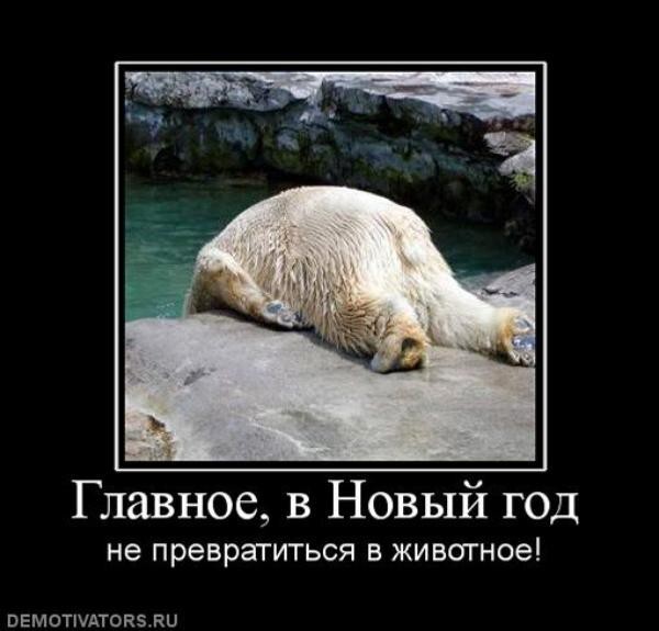 Демотиваторы новогодние
