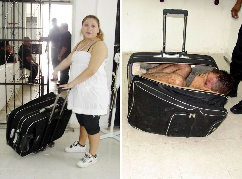 1. Беглец в чемодане
