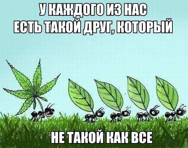 Смешные картинки с надписями