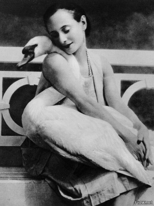 Балерина Анна Павлова и ее лебедь Джек, 1905 г