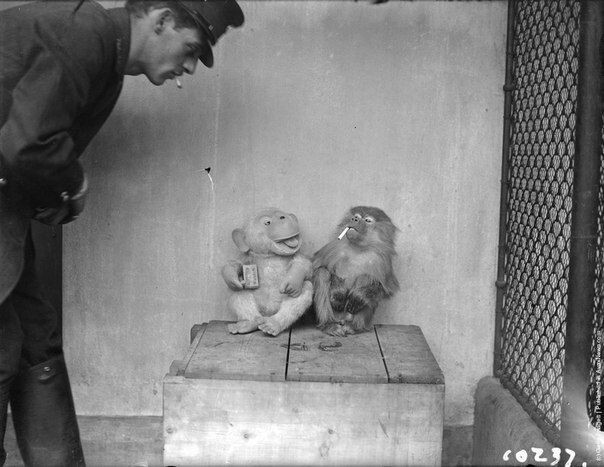 Смотритель зоопарка Джон Уилки на перекуре вместе с обезьянкой и её игрушечным компаньоном, декабрь 1928 года