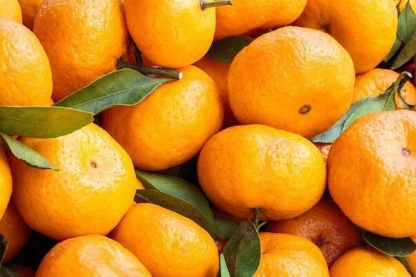 10 фактов о любимчике Нового года — мандарине