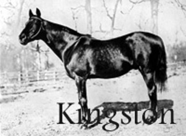 10. Кингстон (Kingston, США, 1884 – 1912)