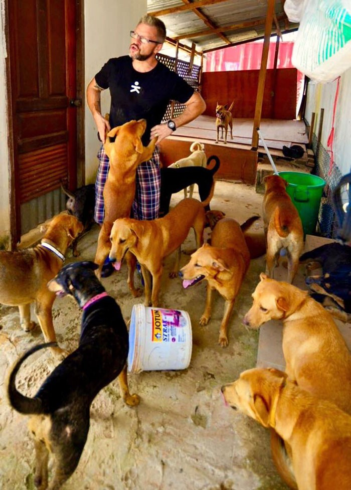 «Я считаю, мы должны забирать собак с улиц, а не покупать их», - говорит Бейнс. 