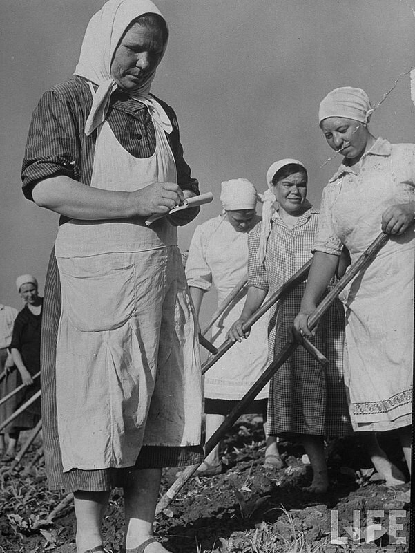 Половозрастная стратификация русского деревенского сообщества — ХХ век