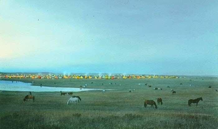 Лагерь племени черноногих индейцев и пасущиеся лошади. Монтана, 1900-е, Вальтер МакКлинток