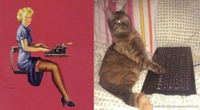 Кошки, позирующие в тех же позах, что и девушки с пинап-плакатов   