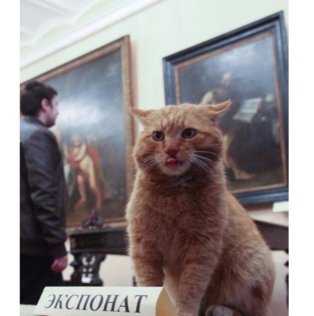 А в этом году работники музея к 1 апреля выпустили пресс-релиз о том, что кот Марай официально принят к ним на работу в качестве вахтёра.
