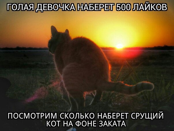 Кто больше?
