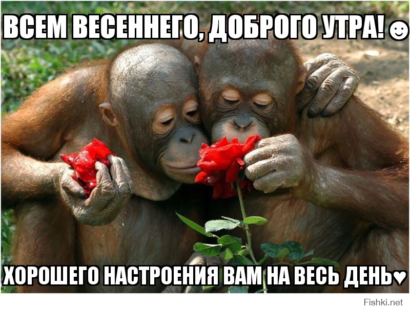 ВСЕМ ВЕСЕННЕГО, ДОБРОГО УТРА!☻