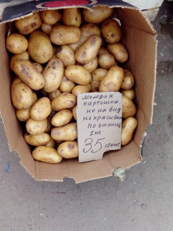 Продается молодая картошка 