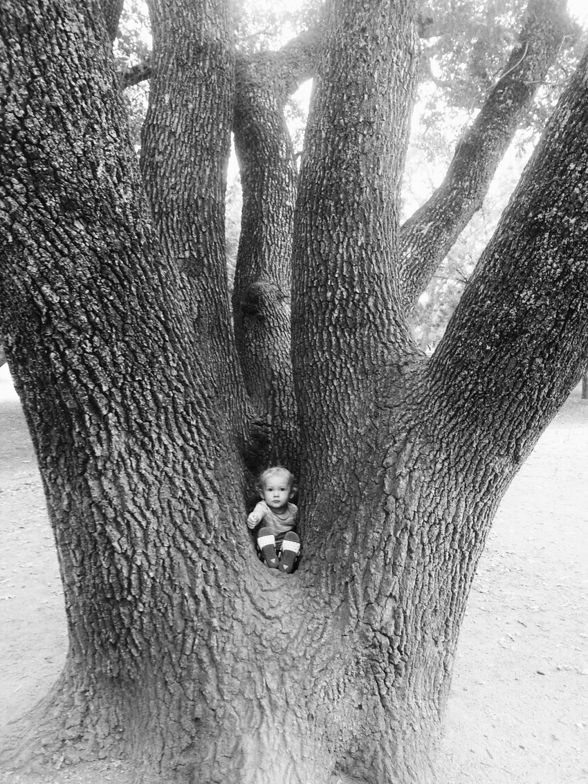 Малышка на дереве