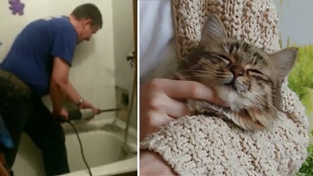 Школьница из Челябинска спасла кошку!