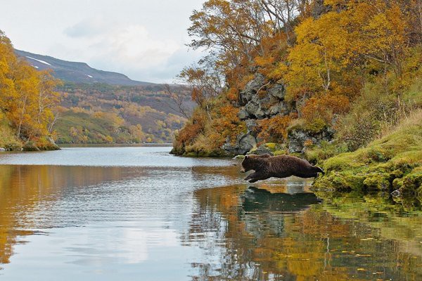 Люблю купаться