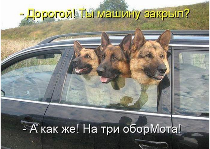 три автомобилиста-три веселых друга 
