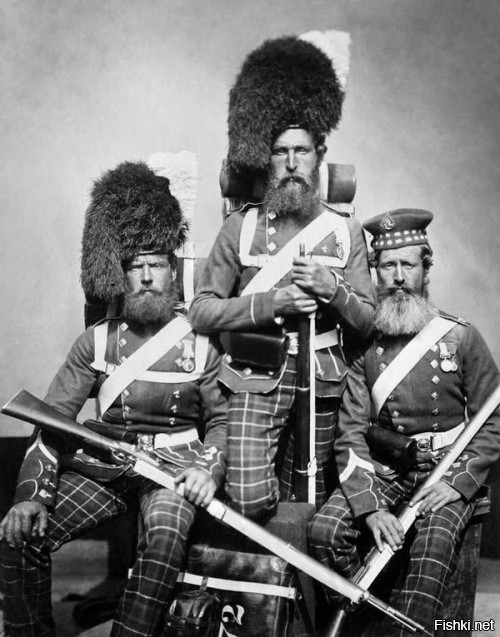 Шотландцы на крымской войне