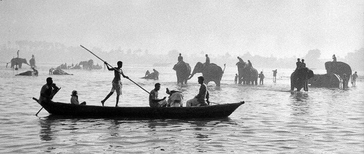 Индия, 1956 год. 