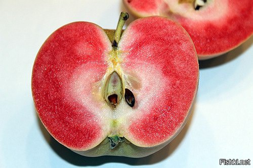 В Калифорнии селекционеры вывели яблоки сорта "Розовый жемчуг" Плод...