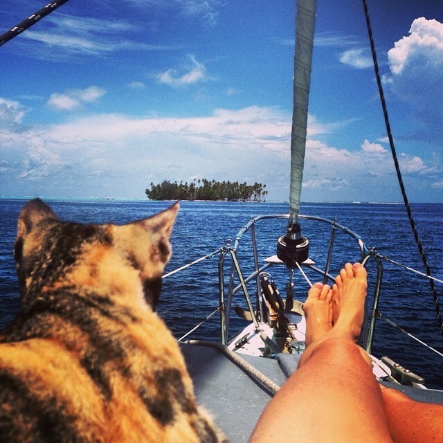 Эта девушка и её кошка живут в лодке и плывут вокруг света