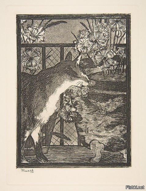 Во время осады немцами Парижа (1870–71) жители города ели крыс, собак и голубей
