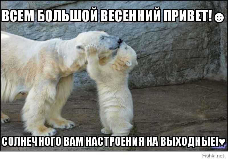 ВСЕМ БОЛЬШОЙ ВЕСЕННИЙ ПРИВЕТ!☻