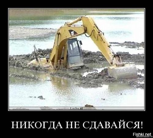 Из солянки