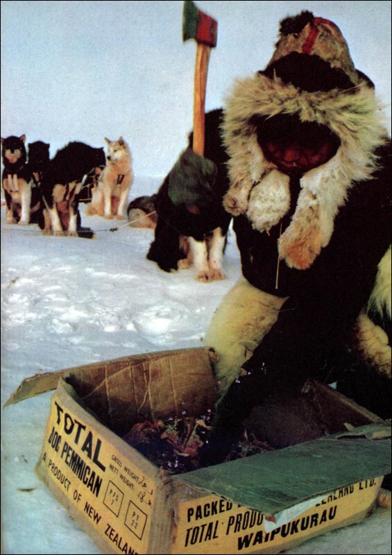 1978 - Японец Наоми Уэмура в одиночку (впервые в мире) достиг Северного полюса на собачьей упряжке после 54-дневного пути к цели.