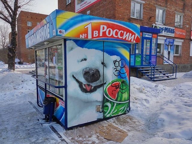 Упоротый медведь в Иркутске радует жителей уже 11 лет! 11 лет, Карл!