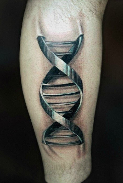 2. ДНК
