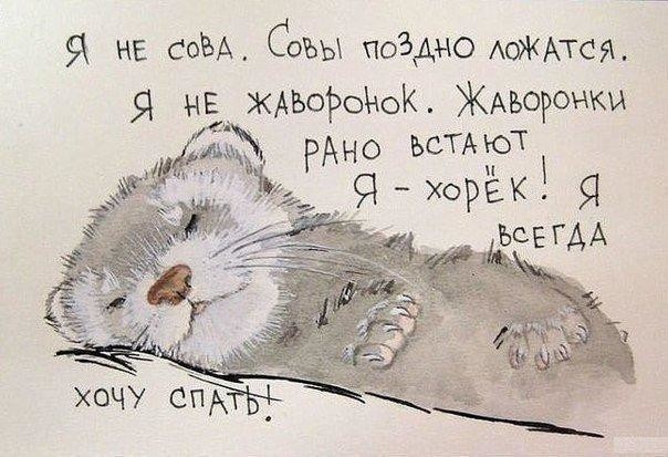 Зачем человеку спать?