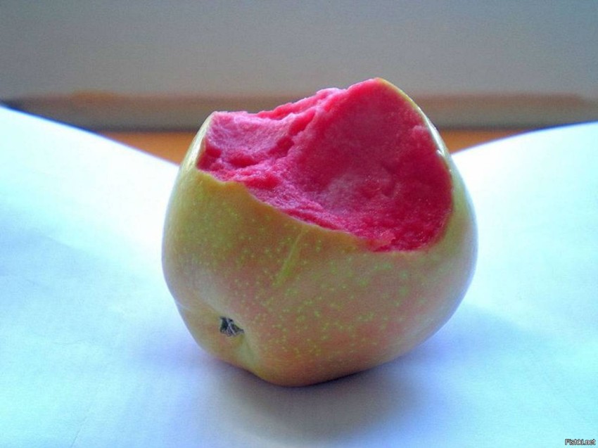 сорт яблок "розовый жемчуг"