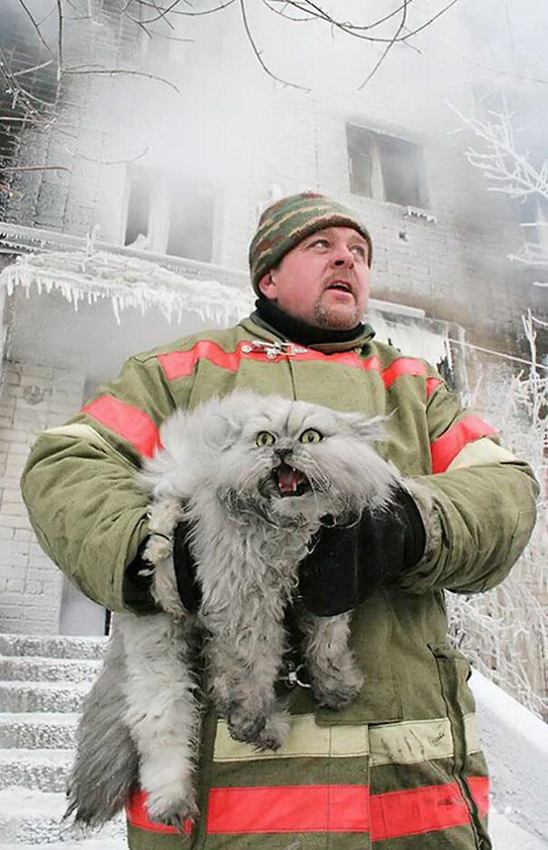 4. Русский пожарный спасает кота