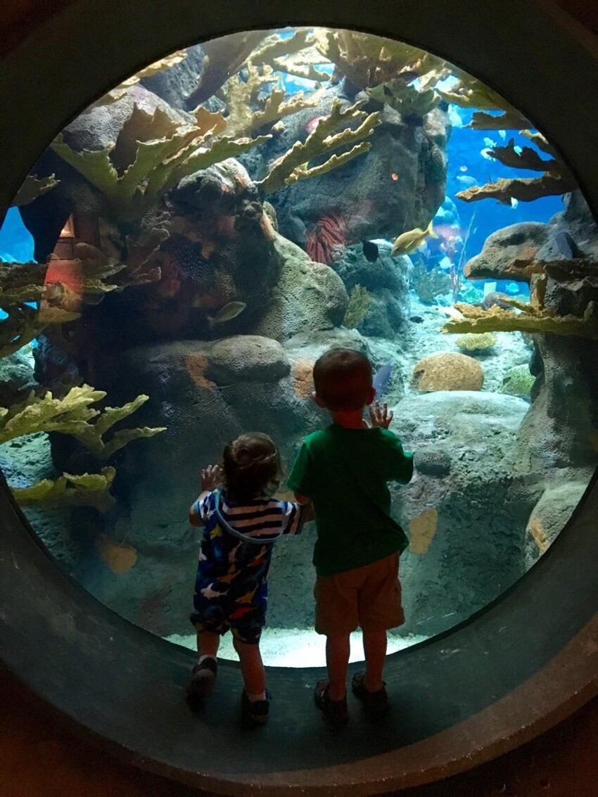 Дети у аквариума 