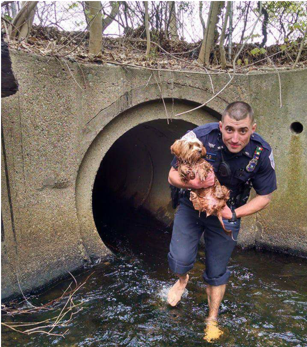 Полиция еще и собак спасает 