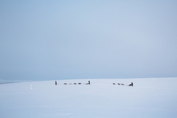 Жизнь в диких условиях, или любовь к Арктике 