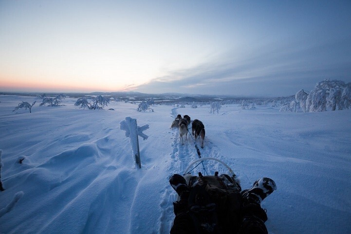 Жизнь в диких условиях, или любовь к Арктике 