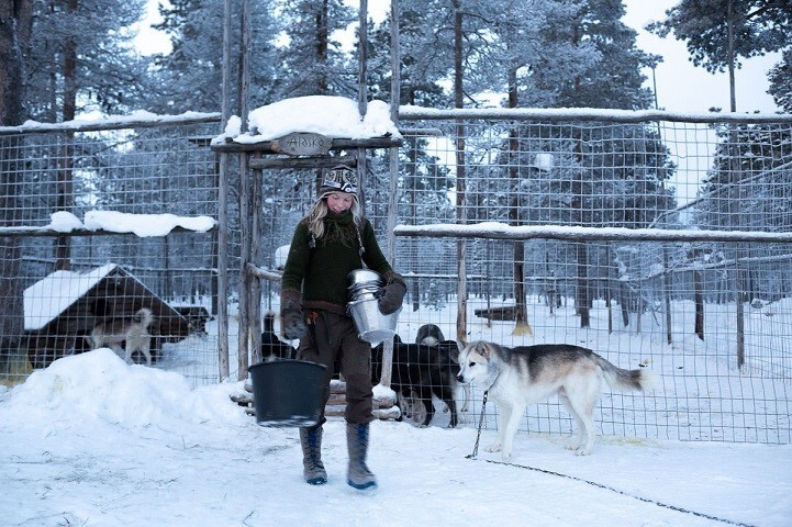 Жизнь в диких условиях, или любовь к Арктике 