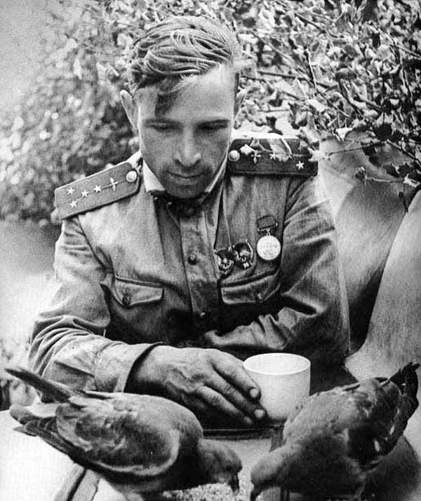 Советский солдат кормит голубей в перерыве между боями