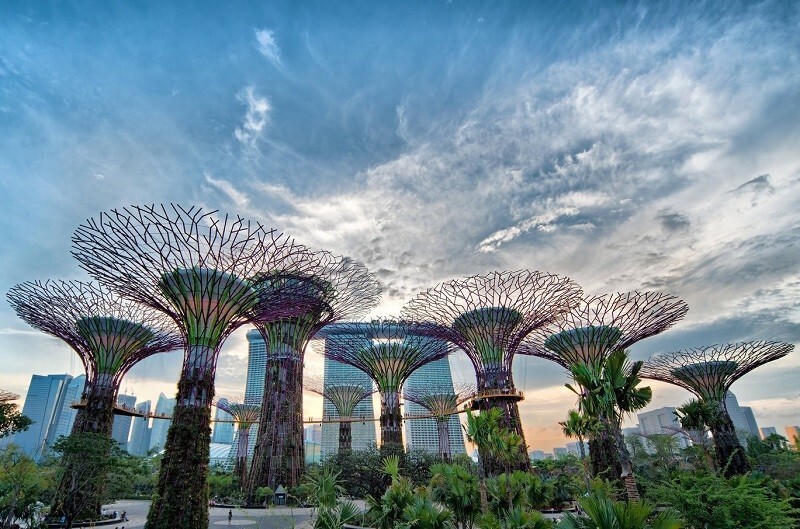 Gardens by the Bay: Фантастические сады