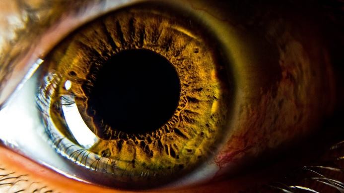 Интересные факты о нашем теле - Глаза и Зрение 